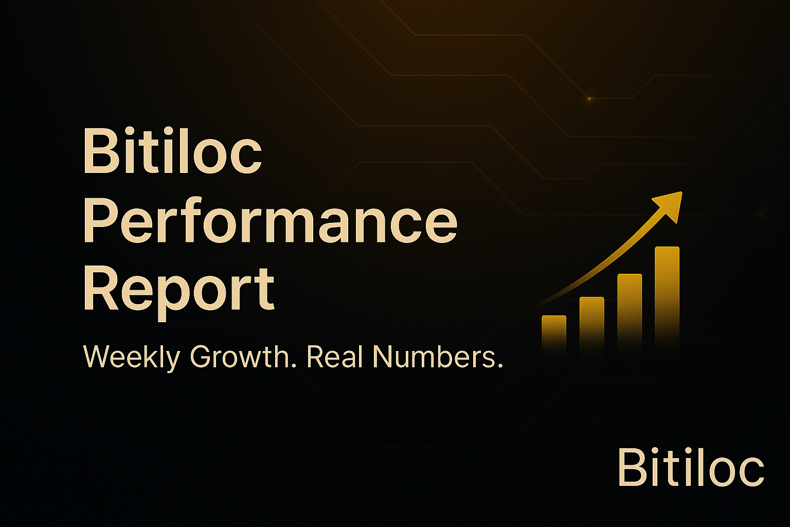 Bitiloc Performance Report – Weekly Growth, Real Numbers